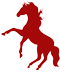 Etrier-Uzege-centre-equestre-pension-balade-cheval-poneys-club-ecurie-anniversaire-concours-vallabrix-uzes-icon-rouge